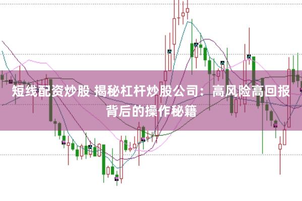 短线配资炒股 揭秘杠杆炒股公司：高风险高回报背后的操作秘籍