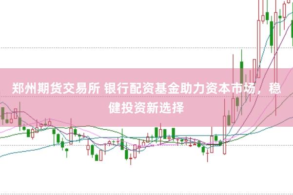 郑州期货交易所 银行配资基金助力资本市场，稳健投资新选择