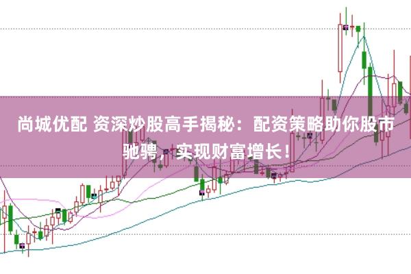 尚城优配 资深炒股高手揭秘：配资策略助你股市驰骋，实现财富增长！