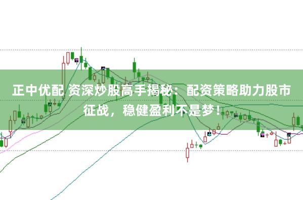 正中优配 资深炒股高手揭秘：配资策略助力股市征战，稳健盈利不是梦！