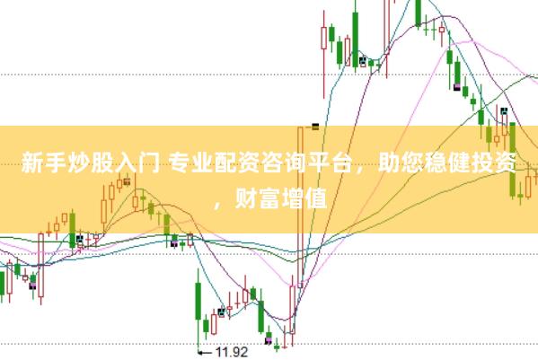 新手炒股入门 专业配资咨询平台，助您稳健投资，财富增值