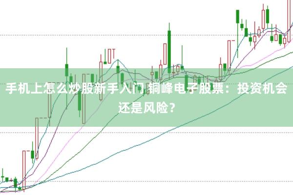 手机上怎么炒股新手入门 铜峰电子股票：投资机会还是风险？