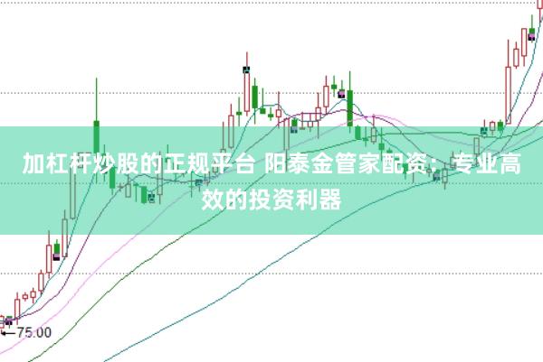 加杠杆炒股的正规平台 阳泰金管家配资：专业高效的投资利器