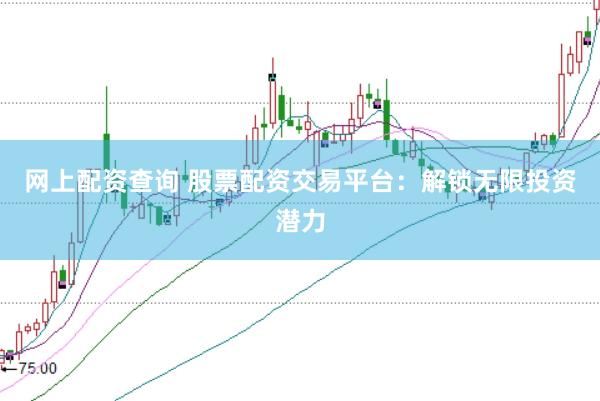 网上配资查询 股票配资交易平台：解锁无限投资潜力