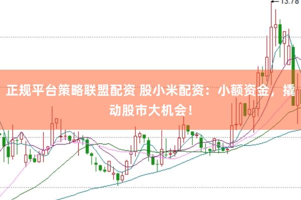 正规平台策略联盟配资 股小米配资：小额资金，撬动股市大机会！