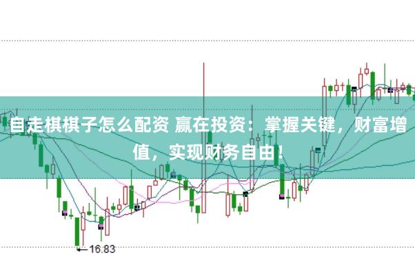 自走棋棋子怎么配资 赢在投资：掌握关键，财富增值，实现财务自由！