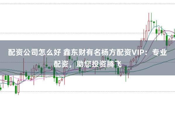 配资公司怎么好 鑫东财有名杨方配资VIP：专业配资，助您投资腾飞