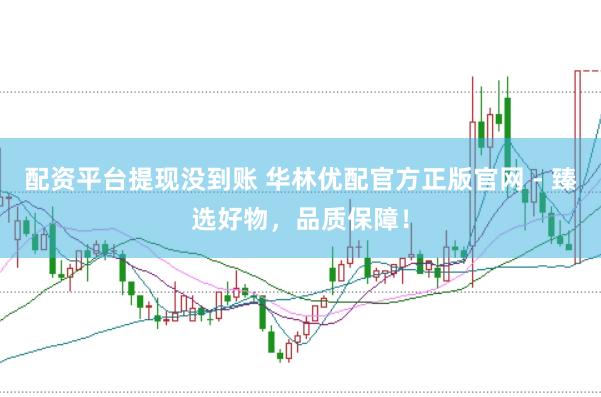 配资平台提现没到账 华林优配官方正版官网 - 臻选好物，品质保障！