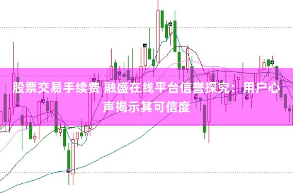 股票交易手续费 融盛在线平台信誉探究：用户心声揭示其可信度