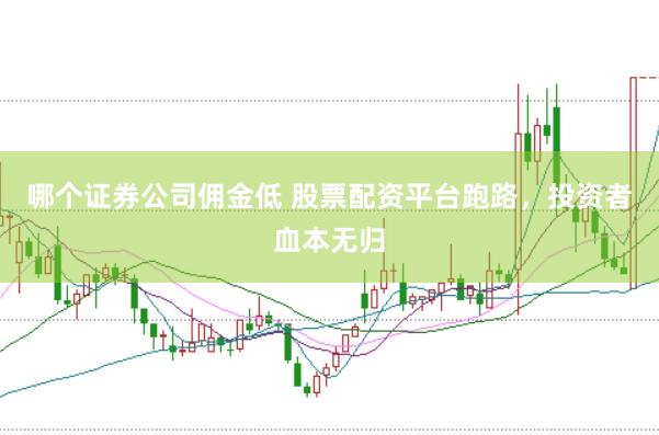 哪个证券公司佣金低 股票配资平台跑路，投资者血本无归