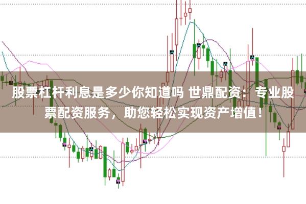 股票杠杆利息是多少你知道吗 世鼎配资：专业股票配资服务，助您轻松实现资产增值！