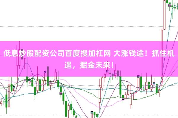 低息炒股配资公司百度搜加杠网 大涨钱途！抓住机遇，掘金未来！