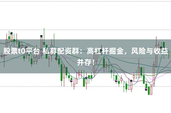 股票t0平台 私募配资群：高杠杆掘金，风险与收益并存！