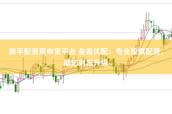 新手配资用申宝平台 垒富优配：专业股票配资，助您财富升级