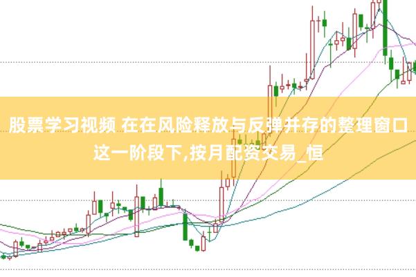 股票学习视频 在在风险释放与反弹并存的整理窗口这一阶段下,按月配资交易_恒
